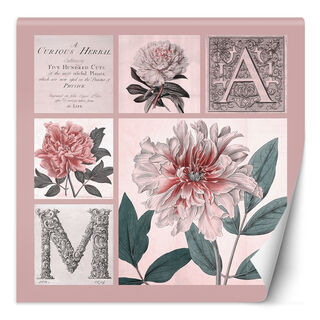 Fototapet, Shabby Chic rosa collage blommor - Andrea Haase