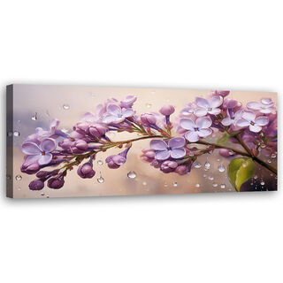 Canvastavla, Blommande lila blommor Droppar av Rosy - (90x30)
