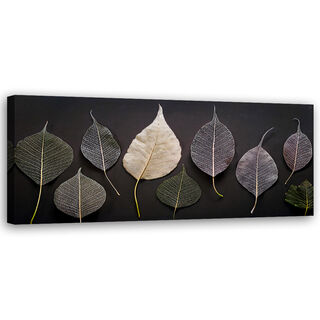 Canvastavla, Minimalism lämnar glamourväxter - (90x30)