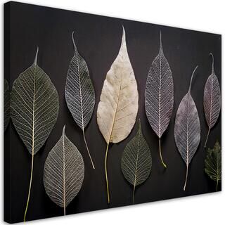 Canvastavla, Minimalism lämnar glamourväxter - (90x60)