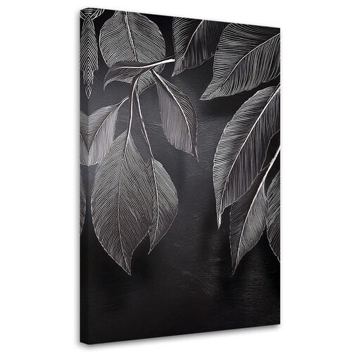 Canvastavla, Minimalism lämnar växter svarta och vita - (40x60)
