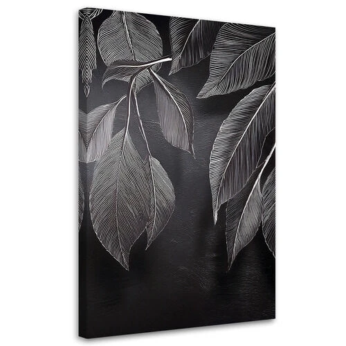 Canvastavla, Minimalism lämnar växter svarta och vita - (60x90)