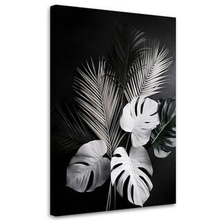Canvastavla, Monstera blad Palmblad svartvita
