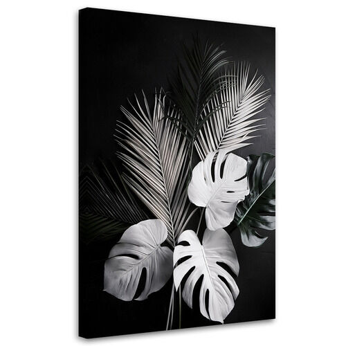 Canvastavla, Monstera blad Palmblad svartvita