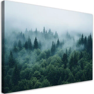 Canvastavla, Grön skog i dimma naturlandskap