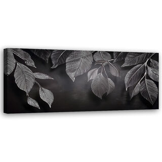 Canvastavla, Minimalism lämnar växter svarta och vita - (120x40)