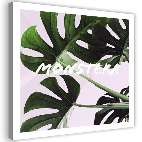 Canvastavla, Monstera Exotiska blad