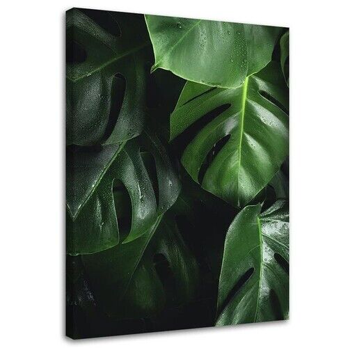 Canvastavla, Monstera blad