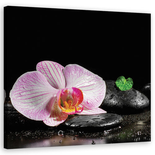 Canvastavla, Blommor Orchid Zen Spa