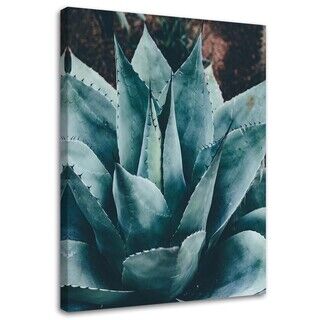 Canvastavla, Agave med stora blad