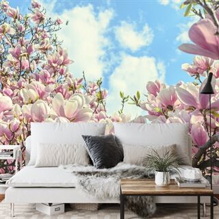 Fototapet Färgglad Blommande Magnolia