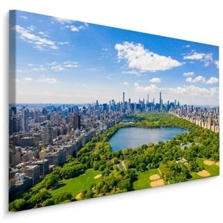 Duk Flygfoto Över Central Park I New York City