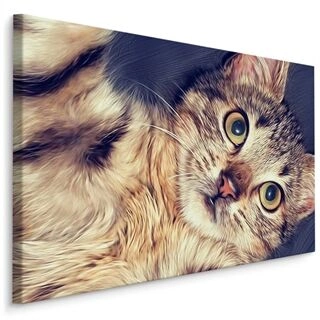 Duk Ett Vackert Kattporträtt Som Målat
