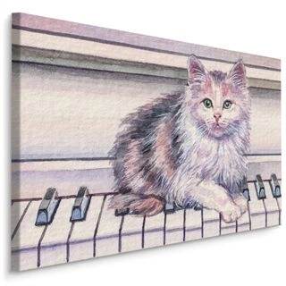Duk Katt På Pianot