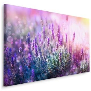 Duk Blommande Lavendel 3D