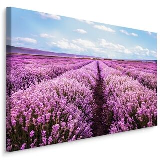Duk 3D-Blommande Lavendelfält