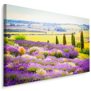Duk Blommande Lavendelfält Med En 3D-Effekt