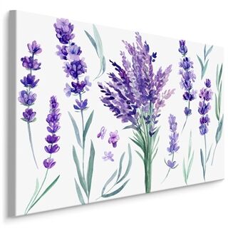 Duk Blommande Lavendel Målad Med Akvarell