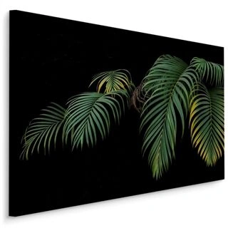 Duk Tropiska Palmblad På En Svart Bakgrund