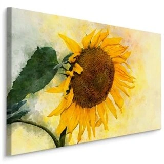 Duk Akvarell Solros Blomma