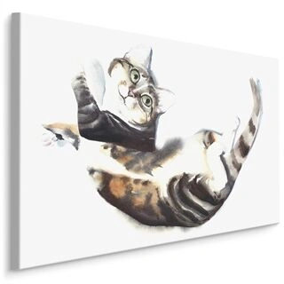 Duk Katt Målad Med Akvarell