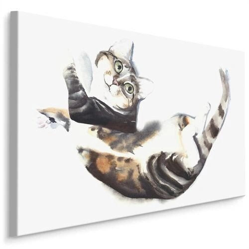 Duk Katt Målad Med Akvarell