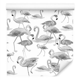 Tapet Flamingos Birds Nature Salong