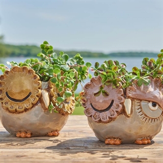 Blomkrukor Blomkrukor