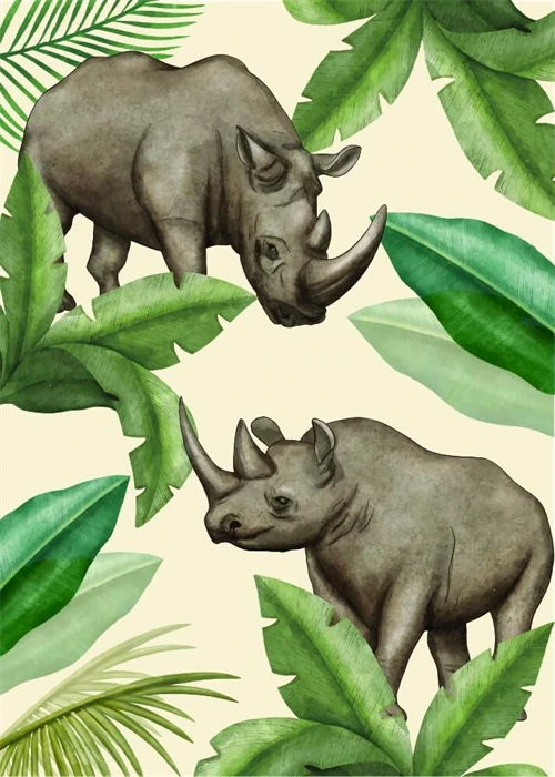 Koala Illustration
