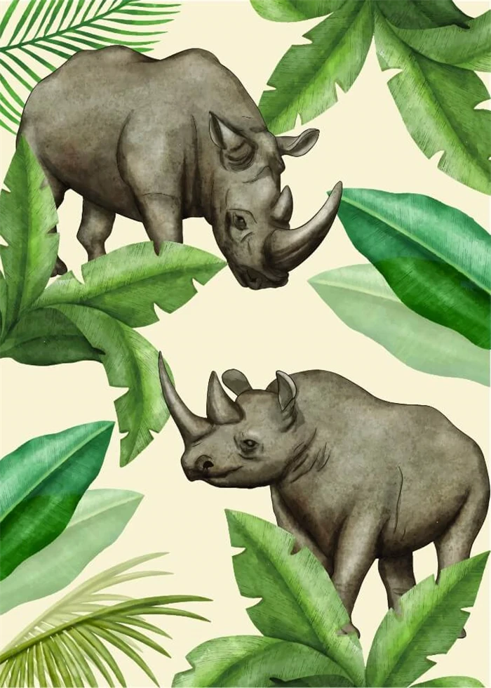 Koala Illustration