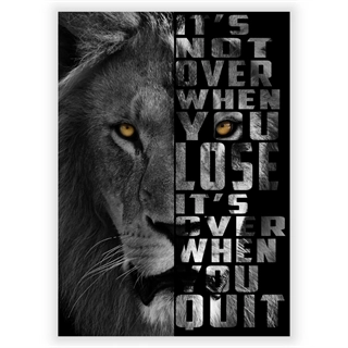 Affisch It's not over Lion