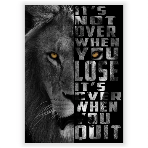 Affisch It\'s not over Lion