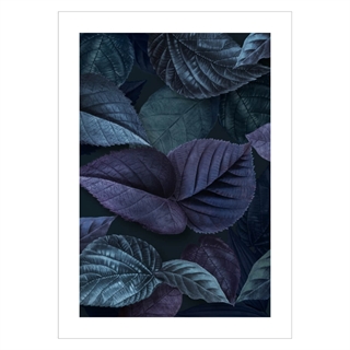 Affisch - Löv i nyanser av lila och blått