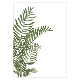 Vacker affisch med stor Areca -handflata i gröna färger
