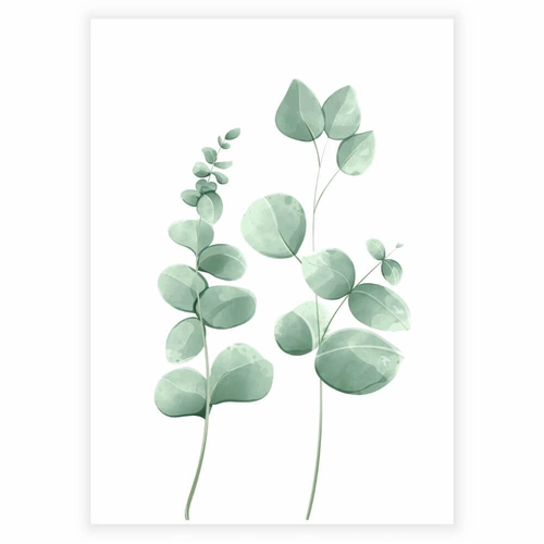 Vacker akvarellaffisch med eukalyptusväxter