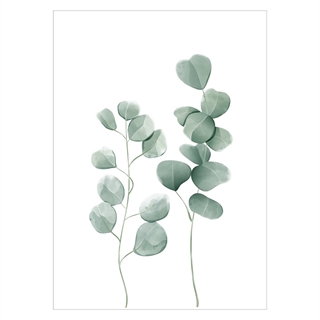 Eukalyptusväxter med gröna blad i akvarell