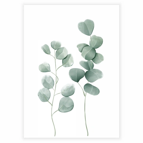 Eukalyptusväxter med gröna blad i akvarell