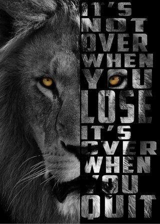 Affisch It's not over Lion