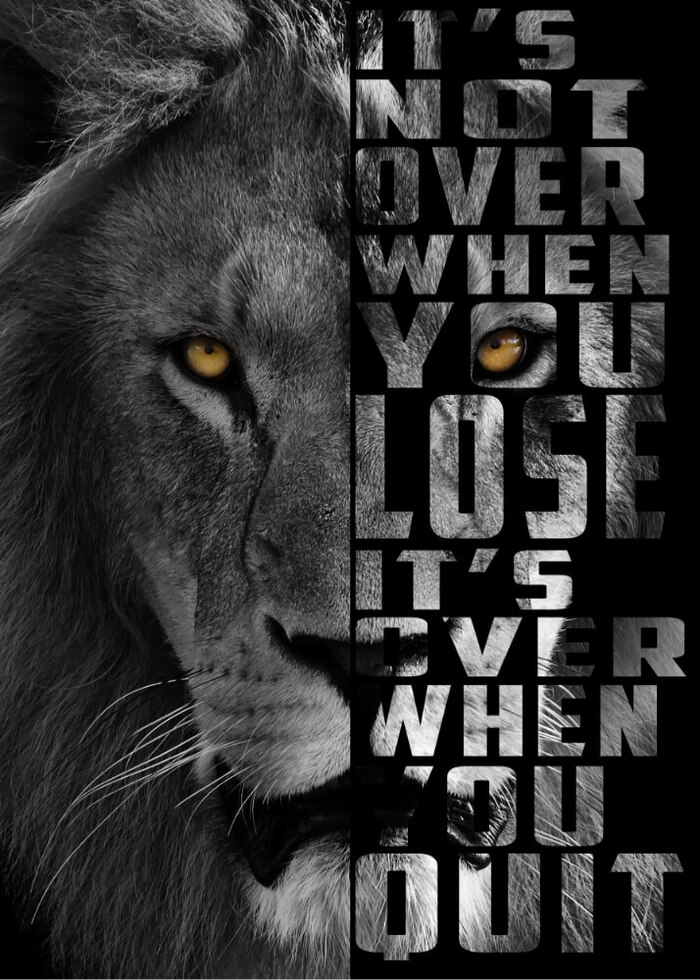 Affisch It\'s not over Lion