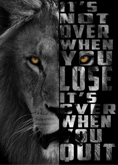 Affisch It's not over Lion