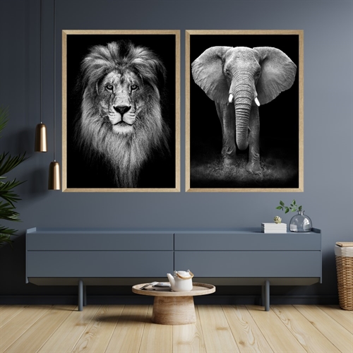 Affisch set lejon och elefant