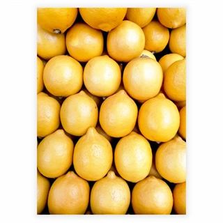 Affisch - Citroner