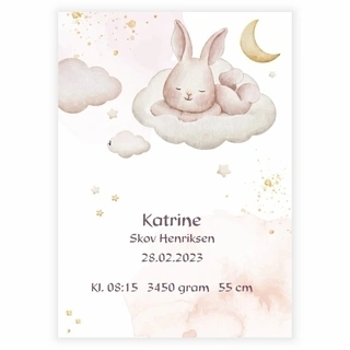 Födelsediagram med kanin på molnet