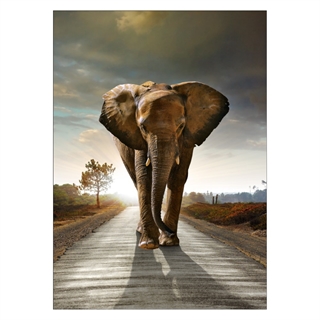 Affisch med en elefant på vägen