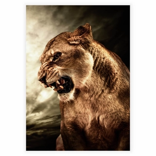 Affisch med lejon