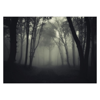 Mörk och oklar affisch av en dimmig skog
