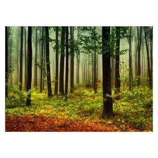 Affisch med skogen i höstfärger