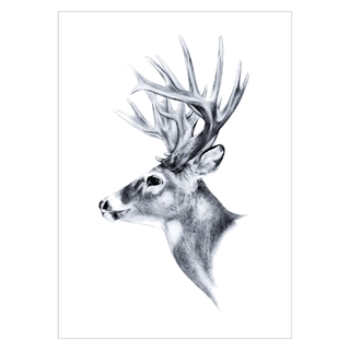 Affisch med en ritad hjort från sidan
