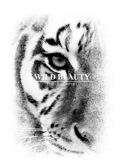 Affisch - Wild Beauty 