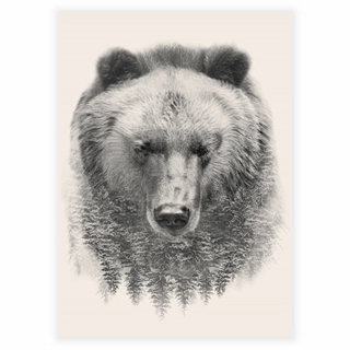 Affisch - The bear